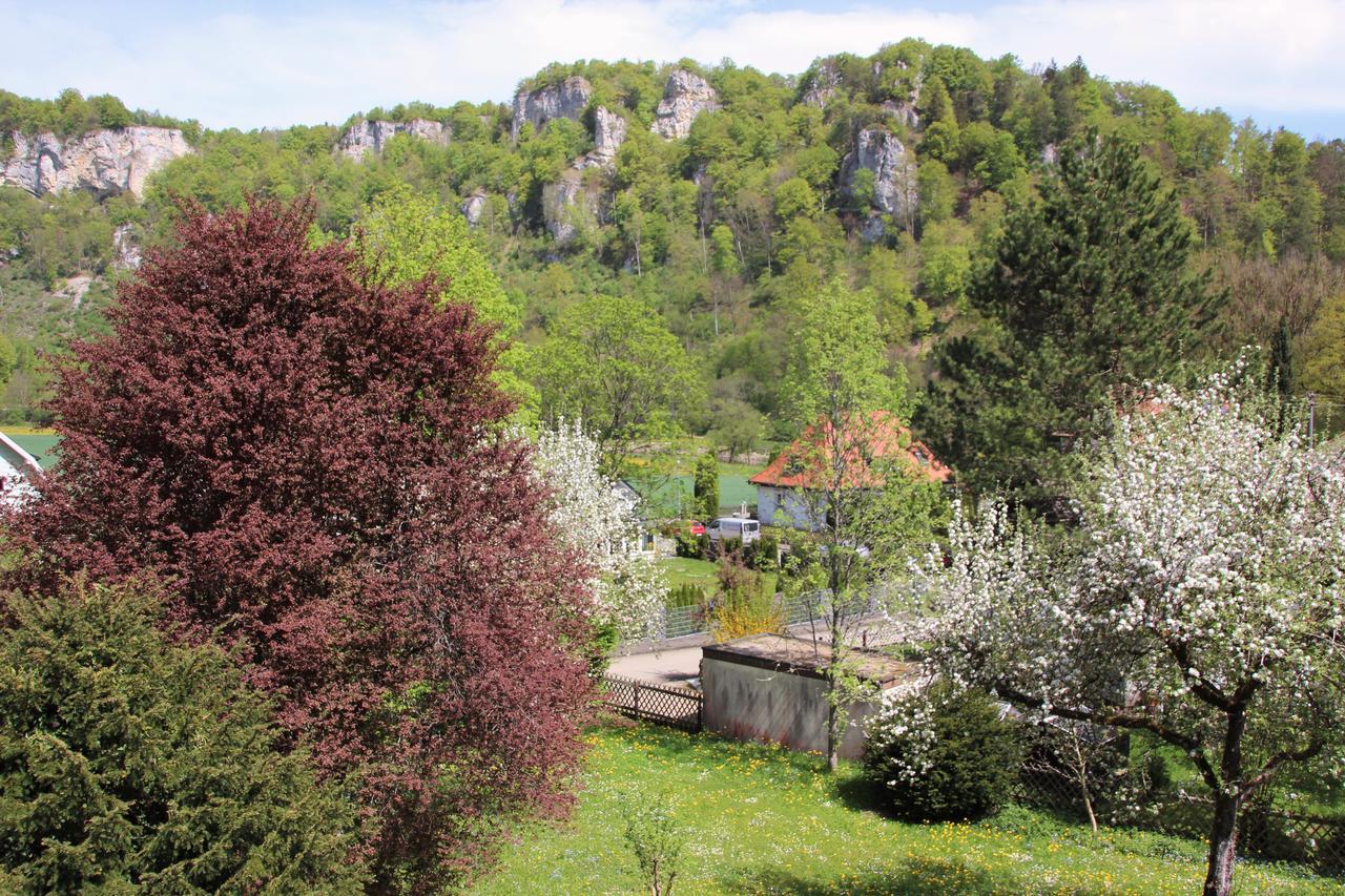 Haus Im Donautal Otel Beuron Dış mekan fotoğraf